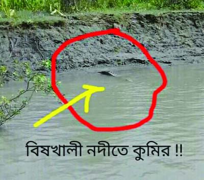 BETAGI (Barguna) : A crocodile found at Bishkhali River at Kathalia Upazila in Chhailar Char creates panic among the villagers and fishermen . This snap was taken on Wednesday.