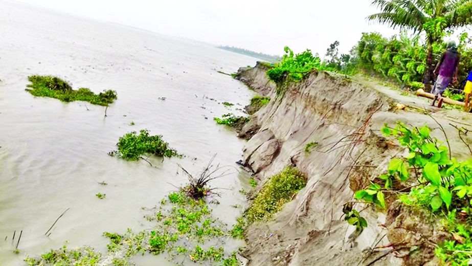 At least 18-20 houses under Enayetpur of Sirajganj District was devoured by the erosion in Jamuna River embankment during the last two days and threatening thousands of croplands around there. This photo was taken on Wednesday.