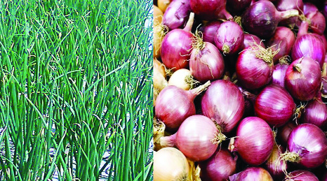 RANGPUR: The farmers get better production of onion producing 62, 673 tonnes of the spicy crop in all five districts under Rangpur Agriculture Region during the just-ended Rabi Season.
