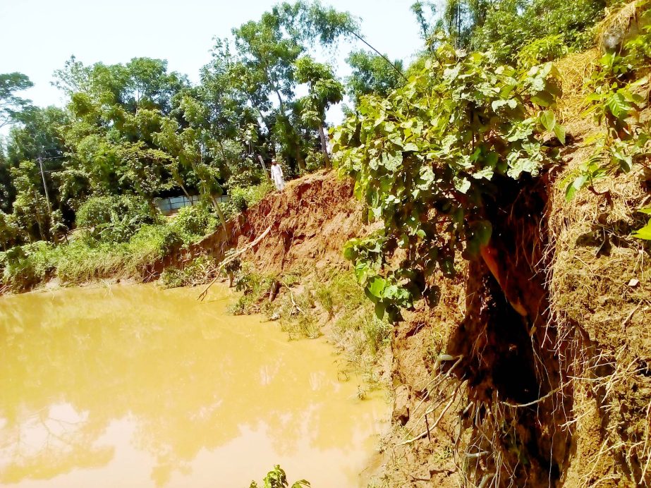 Sorrow of Muhuri river erosion threatens life and properties of Parashuram Upazila under Feni. This photo was taken from near Durgapur village recently.
