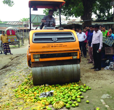 MADHUKHALI(Faridpur): Mobile court at Madhukhali Upazila destroying 10 maunds of chemically ripened mangoes and bananas on Sunday.