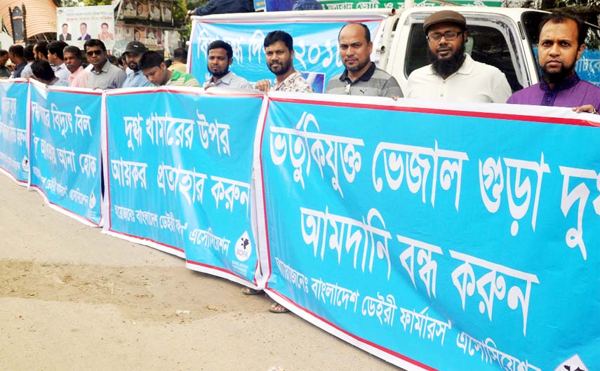 Bangladesh Dairy Farmers Association formed a human chain in front of the Jatiya Press Club on Friday to meet its various demands including ban on importing adulterated milk powder.