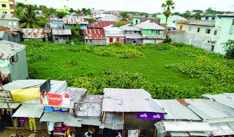 PATUAKHALI: Government Fisheries Pond at Kalapara Upazila has been illegally occupied by influentials for a long time . This snap was taken on Friday.