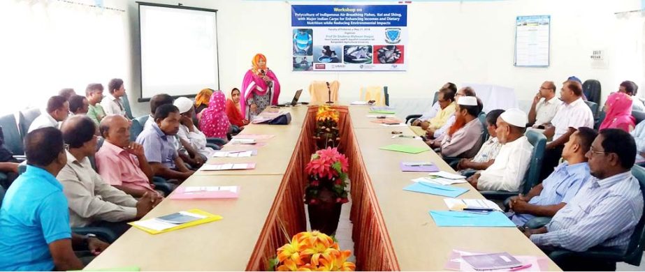 The Workshop on Polyculture of Indigenous Air-Breathing Fishes Koi and Shing. With Major Indian Carps for enhancing Incomes and Detary Nutrition while Reducing Environmental impacts' held at Fisheries faculty of BAU in Mymensingh recently. Professor Dr.