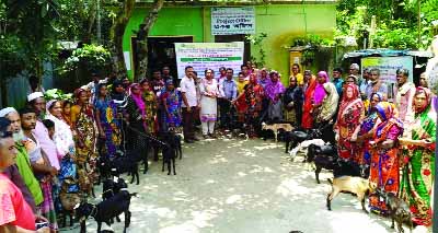 MANIKGANJ: Kaniz Fatima, UNO, Daulatpur Upazila distributing goats among the poor women organised by ADRA Bangladesh, an NGO at Chakmipur Union as Chief Guest on Thursday.