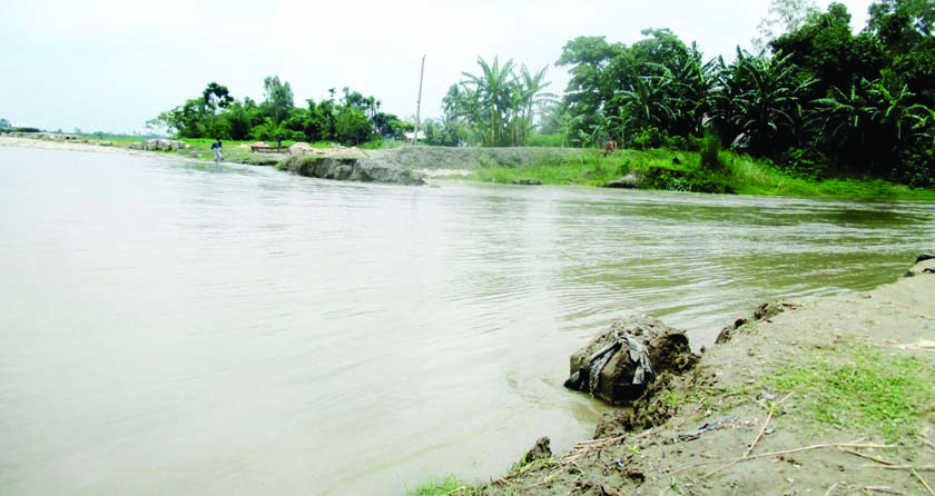 JAMALPUR: Lowâ€“lying areas at Chinaduli Union in Islampur Upazila have been submerged due to dam collapse of Jamuna River. This snap was taken on Wednesday.