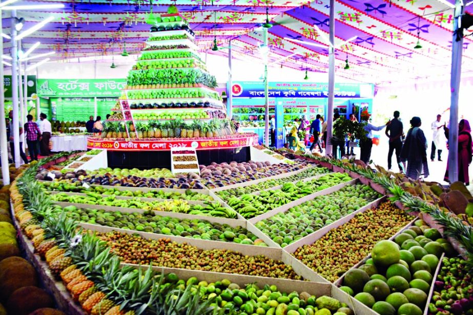 Different kind of fruits have been arranged at the National Fruits Fair in the city's Khamarbari on Friday. The Ministry of Agriculture organizes the fair.