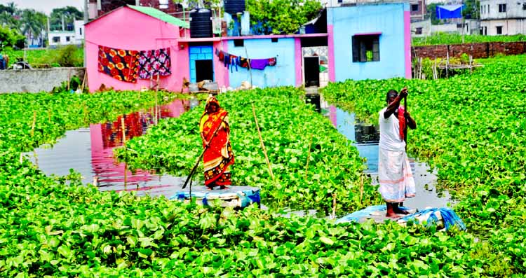 Due to lack of adequate drainage management DND project area being inundated by rain waters causing sufferings to the people of the area. This picture was snapped from Matuail area on Wednesday.