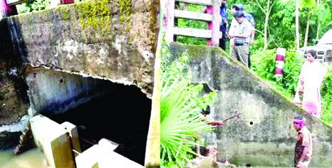 FENI: A mobile court led by local UNO evicted illegal structures from a culvert at North Kolapara village at Parashuram Upazila recently. The water movement of the area was hindered due to unauthorised establishments built by a local influential for a l