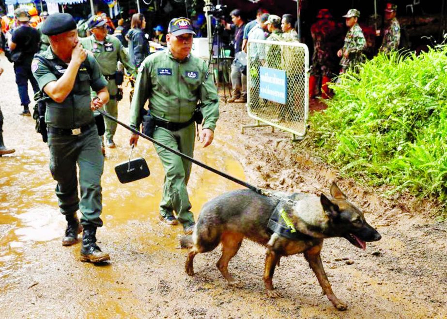 Soldiers walk with a dog near the Tham Luang cave complex, as a search for members of an under-16 soccer team and their coach continues, in the northern province of Chiang Rai, Thailand on Friday.