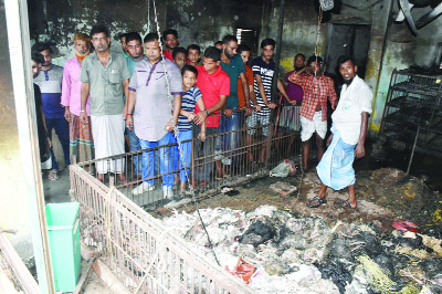 BARISHAL : Some five thousand cocks and hens burnt alive devastating fire gutted poultry shop on Friday.