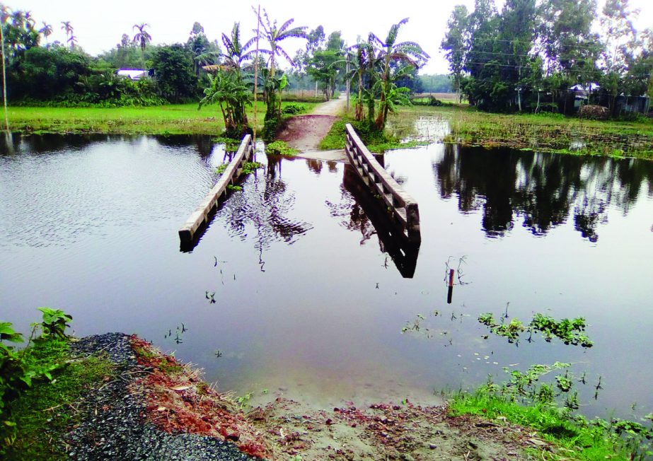 LALMONIRHAT: A bridge at Ghanosham Masterpara in Tushvander Union of Kaliganj Upazila went under water due to recent heavy rain. This snap was taken on Tuesday.