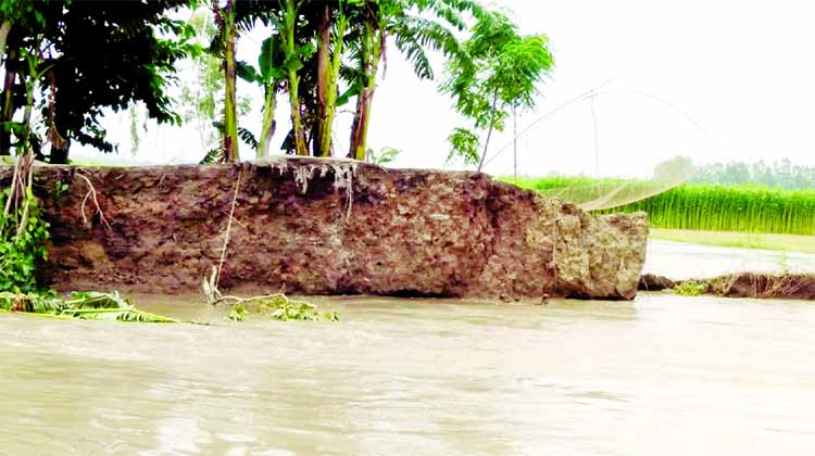 Photos taken of Friday shows villages in Jamalpur being eroded by onrush of flood waters.
