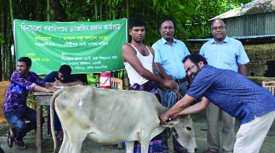 MYMENSINGH: A free vaccination camp for cattle was held at Gidhausha Hason Ali High School in Gouripur Upazila organised by Rakhal Bandhu Kalyan Songstha on Wednesday.