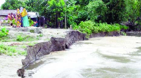 TANGAIL: Jamuna River erosion has taken a serious turn at Gorilabari Village engulfing dwelling houses. This snap was taken on Saturday.