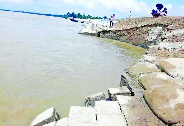 Panic grips locals as around 50 meter embankment of Jamuna River protection project with huge RCC blocks being devoured into the River. This photo was taken from Islampur in Jamalpur on Sunday.