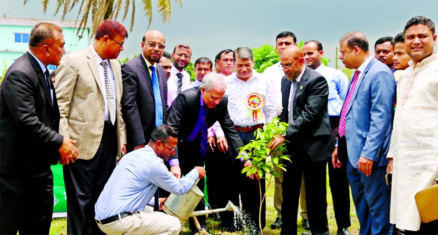 Professor Md. Nazmul Hassan, Chairman of Islami Bank Bangladesh Limited, inaugurating the month-long tree plantation programme at Patiya in Chattragram on Tuesday. Professor Dr. Md. Salim Uddin, EC Chairman, Abu Reza Md. Yeahia, DMD, Md. Obaidul Haque, Md