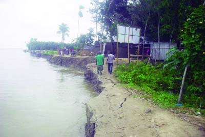 SUNDARGANJ (Gaibandha): Villages at Sundarganj Upazila are facing extinction due to Teesta River erosion. This picture was taken from Vati Kapasia area yesterday.