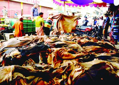 BOGURA: Raw hides and skin are being sold from Thana to Badurtala Crossing in Bogura on Wednesday.