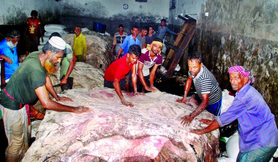 Tannaries busy processing raw hides after third day of Eid-ul-Azha. This photo was taken from Posta area in city on Friday.