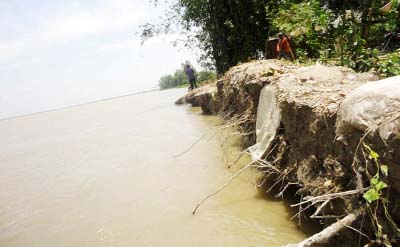 RANGPUR: Teesta River erosion has taken a serious turn at Kawnia Upazila. This snap was taken yesterday.