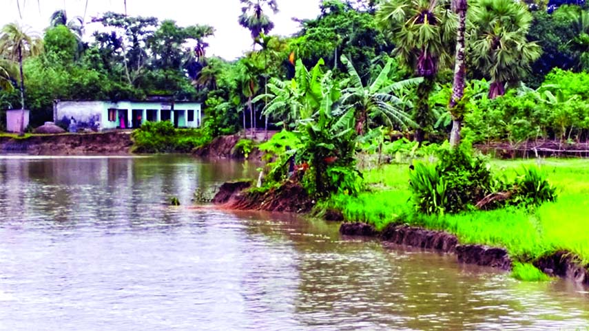 BARISHAL : Sugandha River eroding away educational institution at Babuganj upazila . This snap was taken yesterday.