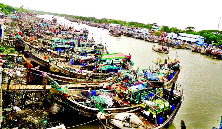 Hundreds of fishing trawlers set safe anchored at the Shivbaria river port at Kalapara upazila in Patuakhali on Friday after Met office advised fishermen against venturing into sea as weather turned rough with huge waves, accompanied by gusty winds.