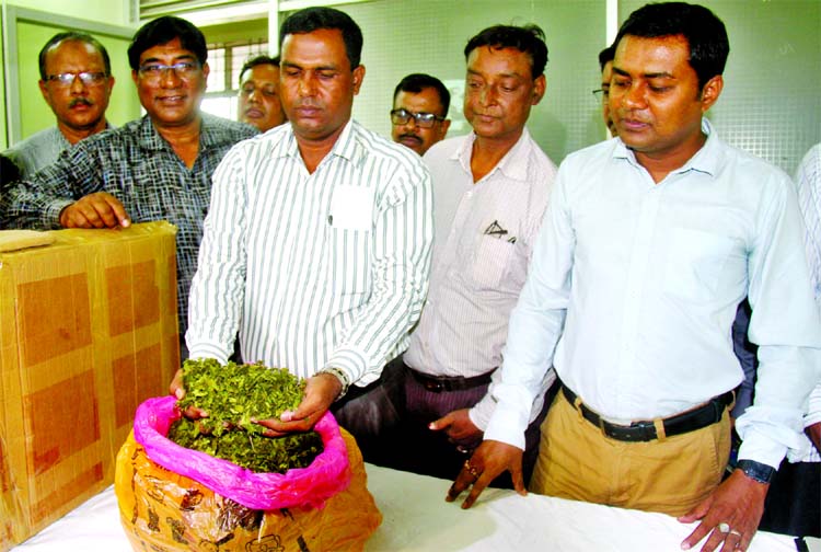 CID seized 1,586 kilograms of Ethiopian contraband drugs also known as 'Khat' worth about Tk 2.38 crore from foreign parcel section of General Post Office in the city on Sunday. This picture was taken from the CID office on Tuesday.