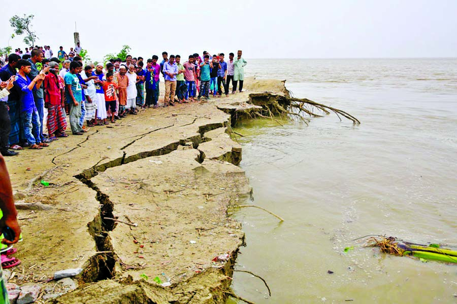 5000 FAMILIES HAVE BECOME HOMELESS: Fresh areas of Padma being devoured as erosion at Bashtala area of Naria upazila in Shariatpur continues. The photo was taken on Thursday.