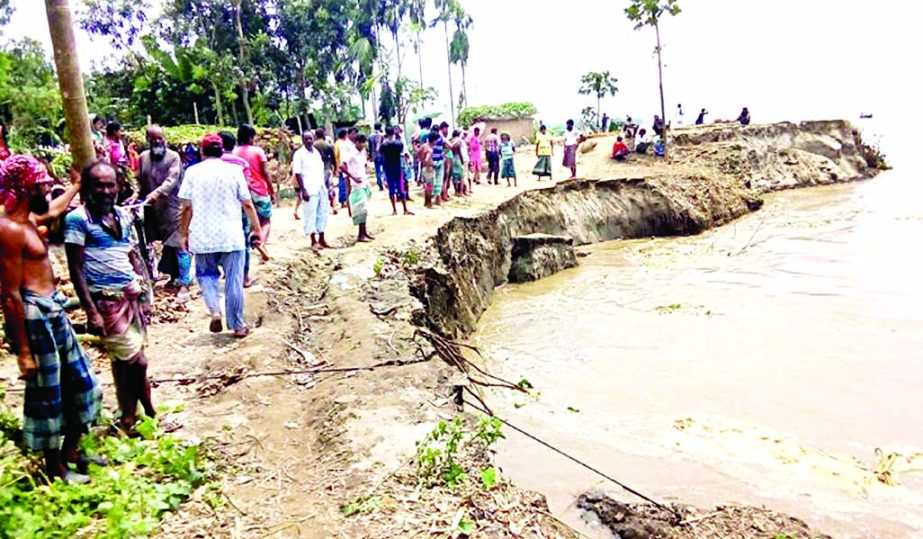 Bandarbed and Chor Moushmari area of Roumari upazila under Kurigram district on the verge of extinction due to erosion of Brahmaputra river. This picture was taken on Sunday.