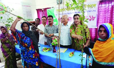 KESHABPUR (Jashore): H M Amir Hossain, Chairman, Keshabpur Upazila distributing saplings among the locals organised by Sushil Kashabpur Center, a voluntary organisation yesterday.