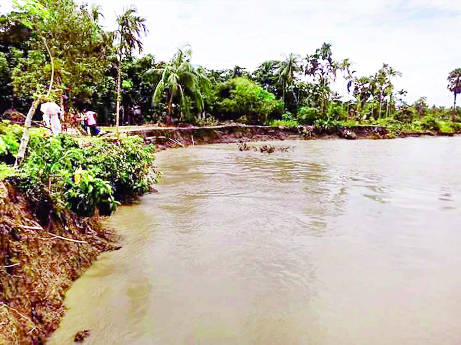 BAUPHAL (Patuakhali): Tetulia River erosion has taken a serious turn at Bauphal Upazila as different areas have been devoured. This snap was taken from Dhulia Union on Saturday.