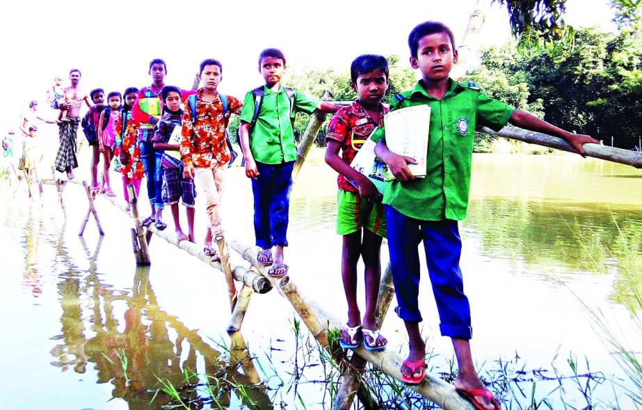 SHERPUR: School going children crossing the risky bamboo bridge at Chatal village in Jhenaigati Upazila of Sherpur . This snap was taken yesterday.