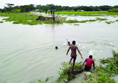 SHARANKHOLA (Bagerhat): One hundred -meter dam at Gabtala area at Sharankhola in Bagerhat collapsed recently.