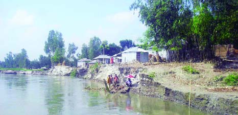 SUNDARGANJ (Gaibandha): The existance of Curren Bazar at Horipur Union in Sundarganj Upazila has been threatened as Teesta River erosion has taken a serious turn recently. This picture was taken yesterday.