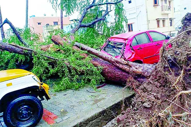 A view of a damaged car after cyclone Gaja hits Kodaikanal in Tamil Nadu on Friday.