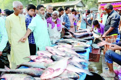 BOGURA: A Fish Fair was held at Utholi Village in Shibganj Upazila in observance of the Nabanna Festival on Sunday.