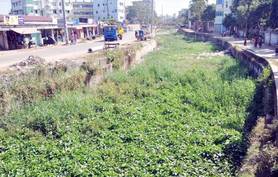 The historic Mahesh Khal has turned into a playground. Authority concern yet to take any step. This picture was taken yesterday.