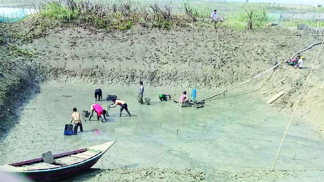 NATORE: People enjoying fishing on the dried Halti Canal at Naldanga Upazila . This snap was taken on Saturday.