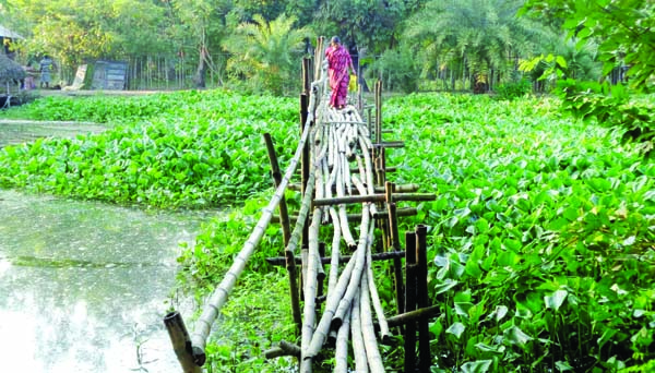 KHULNA: A pucca bridge is needed immediately at Dacope Upazila as people of the Upazila using the risky bridge for a long time. This snap was taken on Monday.