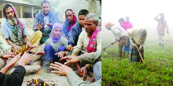 RANGPUR: The sweeping bone-chilling cold wave over the northern region forced thousands of common people to stay indoors up to 9 am till appearance of the sun penetrating thick layers of fogs in the rural area in Rangpur on Friday.
