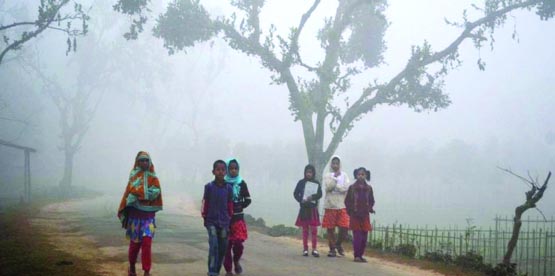 PANCHAGARH: Movement of school children being affected at Boda Upazila in Panchagarh like other places of the northern region due to sweeping cold wave coupled with dense layers of fogs on Sunday morning.
