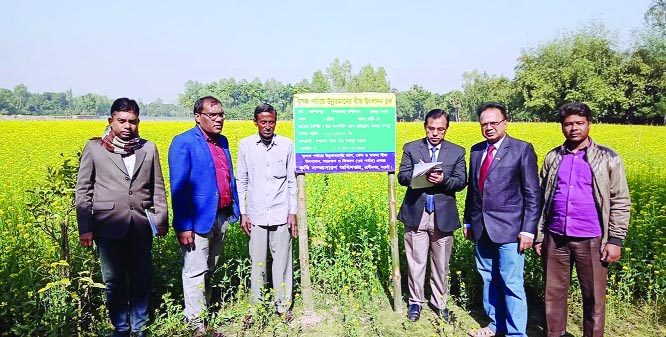 NAOGAON: High officials of Agriculture Extension Directorate, Naogaon District visiting mustard filed at Raninagar Upazila recently.