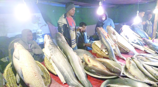 MOULVIBAZAR: A three-day-long Fish Fair was begun beside Kushiyara River in Sherpur area of Moulvibazar on Monday.