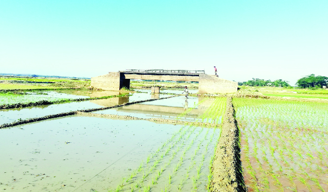 KULAURA (Moulvibazar): A bridge was built 21 years ago over Bogolkuri Canal at Chilarkandi Village in Kulaura Upazila without any road. This snap was taken yesterday. .