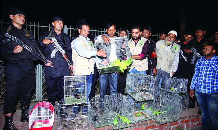 RAB's wild life crime control unit freed about 461 wild birds at Chandrima Udyan, seized earlier from Abdullahpur of Tongi area on Sunday.