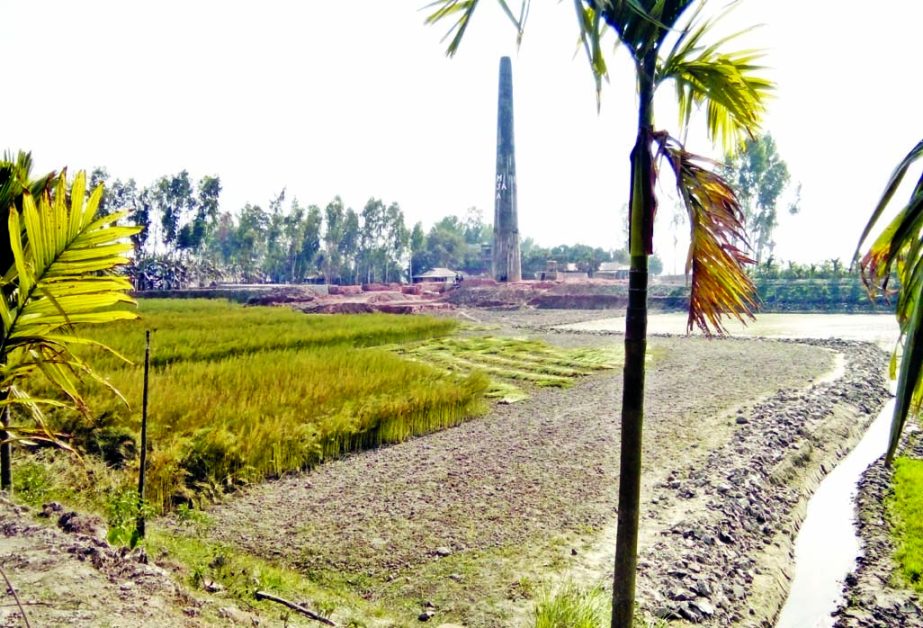 Authorities plans to start eviction of brick kilns built illegally in rural areas by some vested quarters defying HC order causing depletion of natural resources including farmland across the country. This photo was taken from Kurigram's Kathalbari area