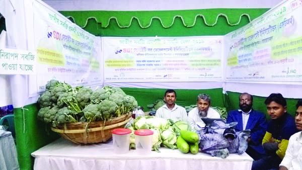 DHAMRAI (Savar): A three -day-long National Vegetables Fair began at Krishibid Institute in Khamarbari on Saturday.