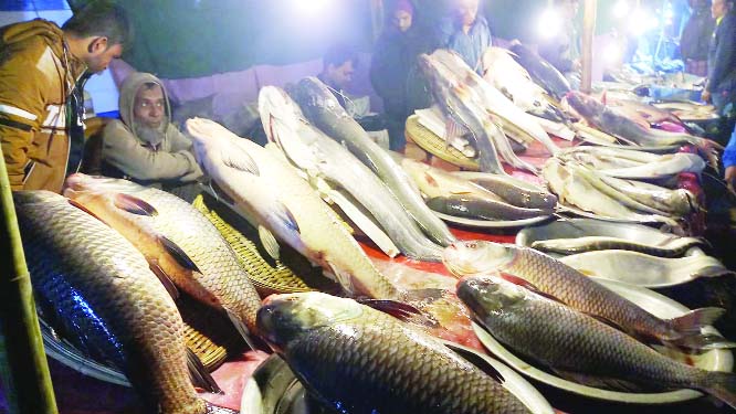 MOULVIBAZAR: A view of traditional Fish Fair was held at Sherpur in Moulvibazar marking the Poush Sangkranti recently.