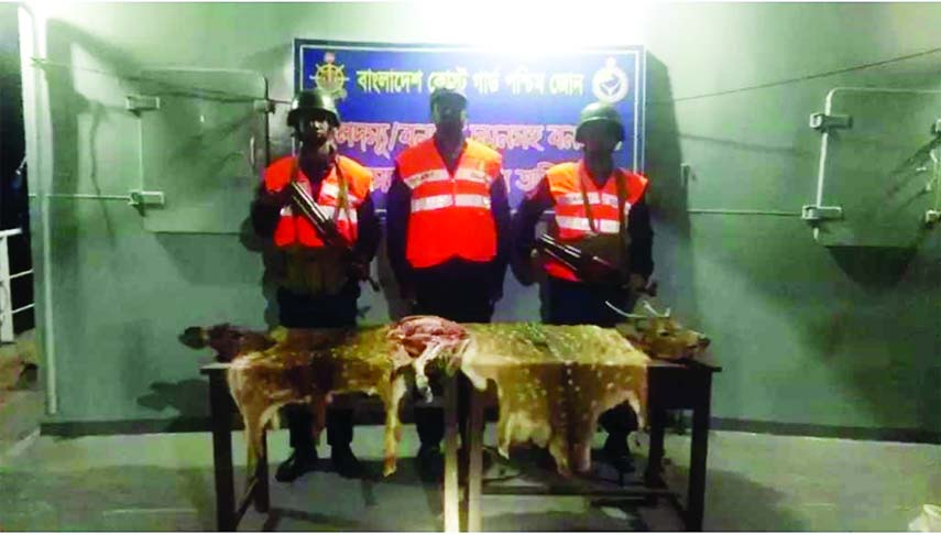 KHULNA: Members of Coast Guard, South Zone recovered skins of two deer from Kalirkhal area in Shyamnagar upazilla yesterday morning.